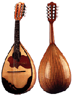 mandolin